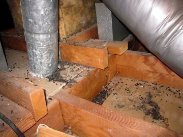 Crawl Space Restoration in Griffith, California