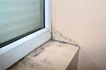 Mold removal by DLS Projects Management, Inc.
