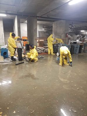 Commercial Sewage Cleanup in Van Nuys, CA (5)