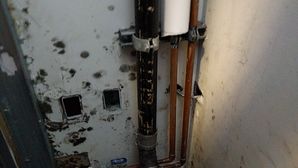 Commercial Mold Remediation in Los Angeles, CA (1)