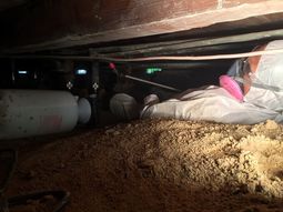 Crawl Space Mold Remediation in Los Angeles, CA (1)